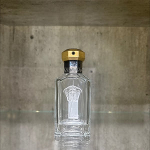 🌟 The Dreamer – Versace