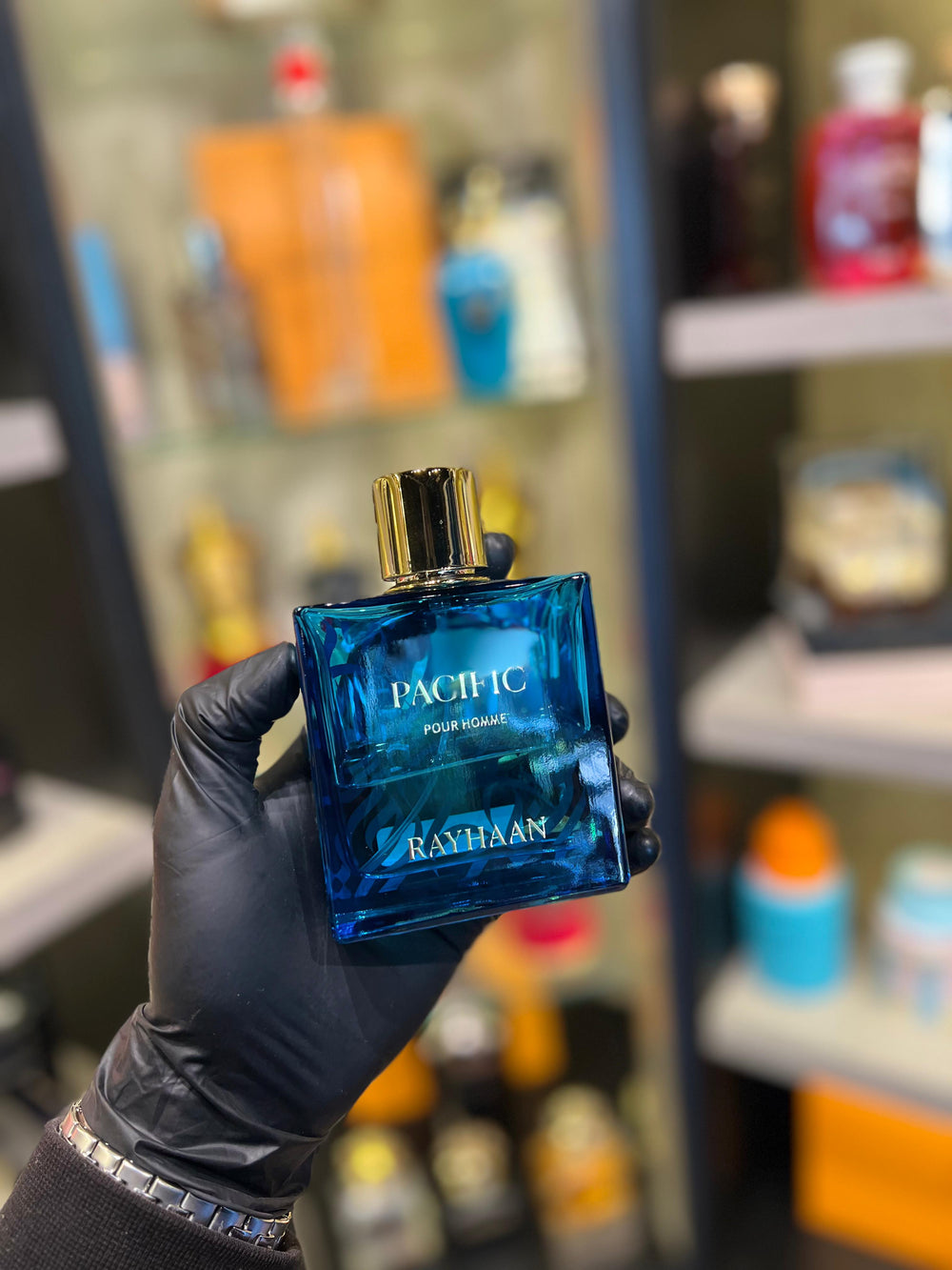 🌊 Pacific – Rayhaan